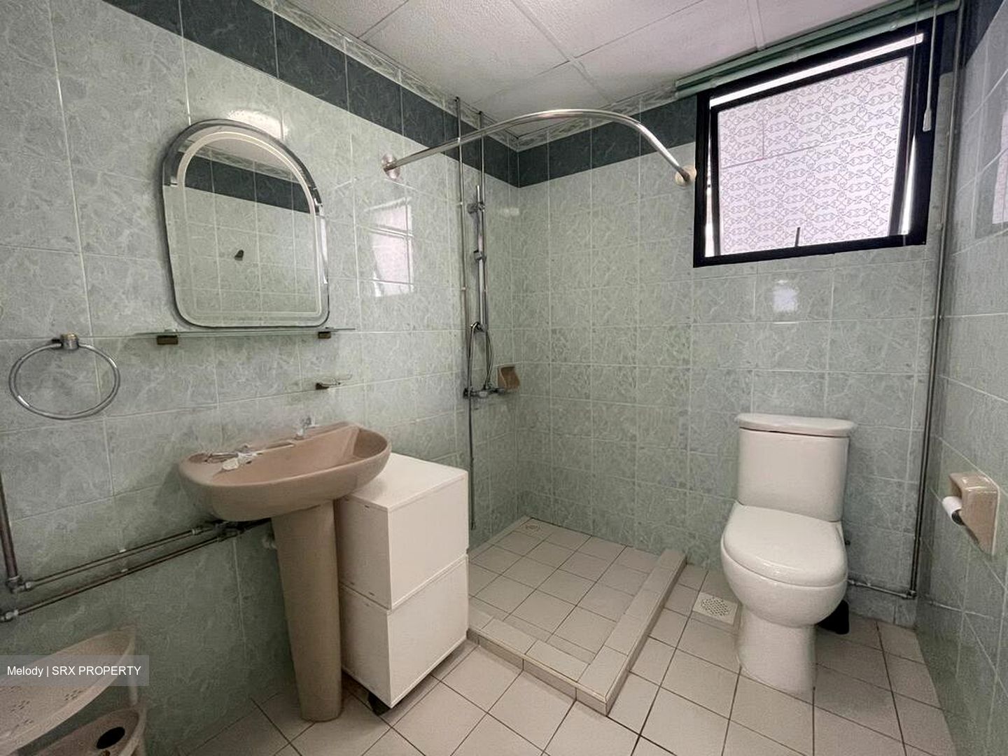 Central Green Condominium (D3), Condominium #499354371